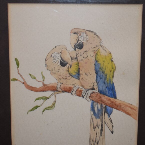 Very Nice Framed Parrot Picture - Picture 2 of 3